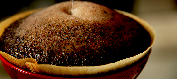 コーヒードーム