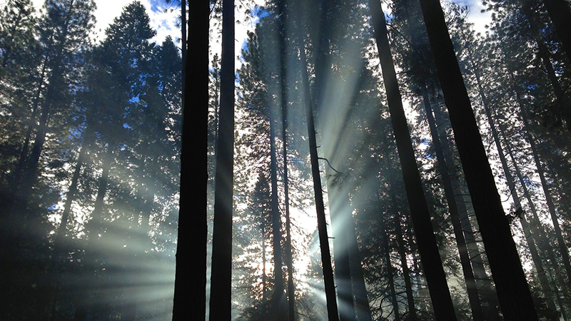 スピリチュアル