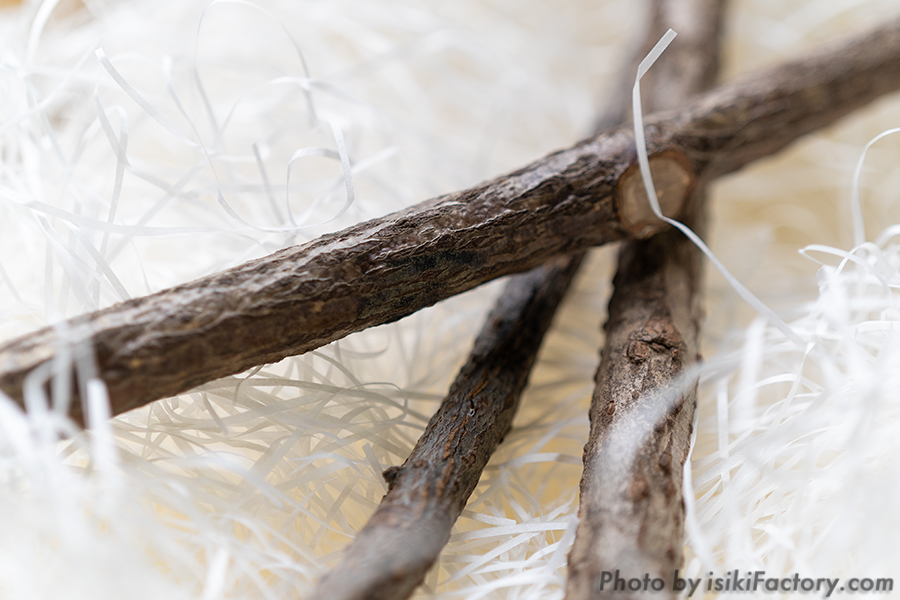 リード (木の枝)